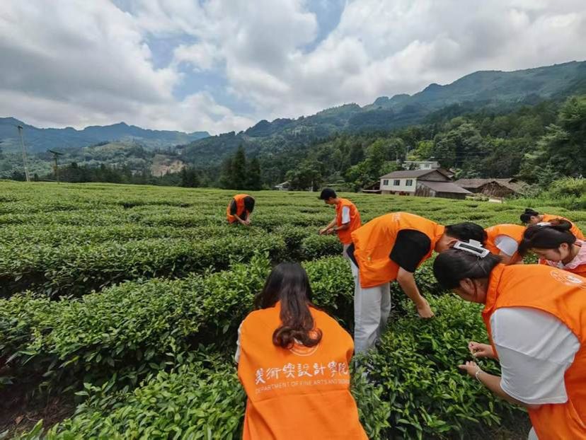 6597c29a2d68e859da3164a98fe81be